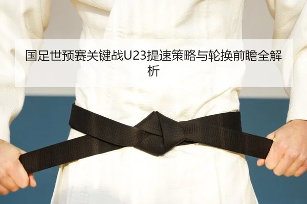 guo-zu-shi-yu-sai-guan-jian-zhan-ti-su-ce-lve-yu-lun-huan-qian-zhan-quan-jie-xi-2-272.jpg